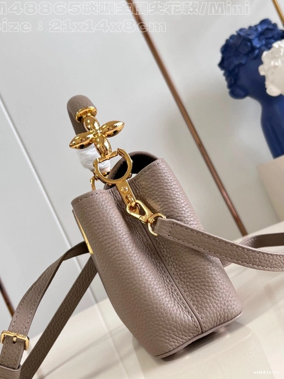 WIS LOUIS VUITTON MINI-21*14*8CM CAPUCINES 0807